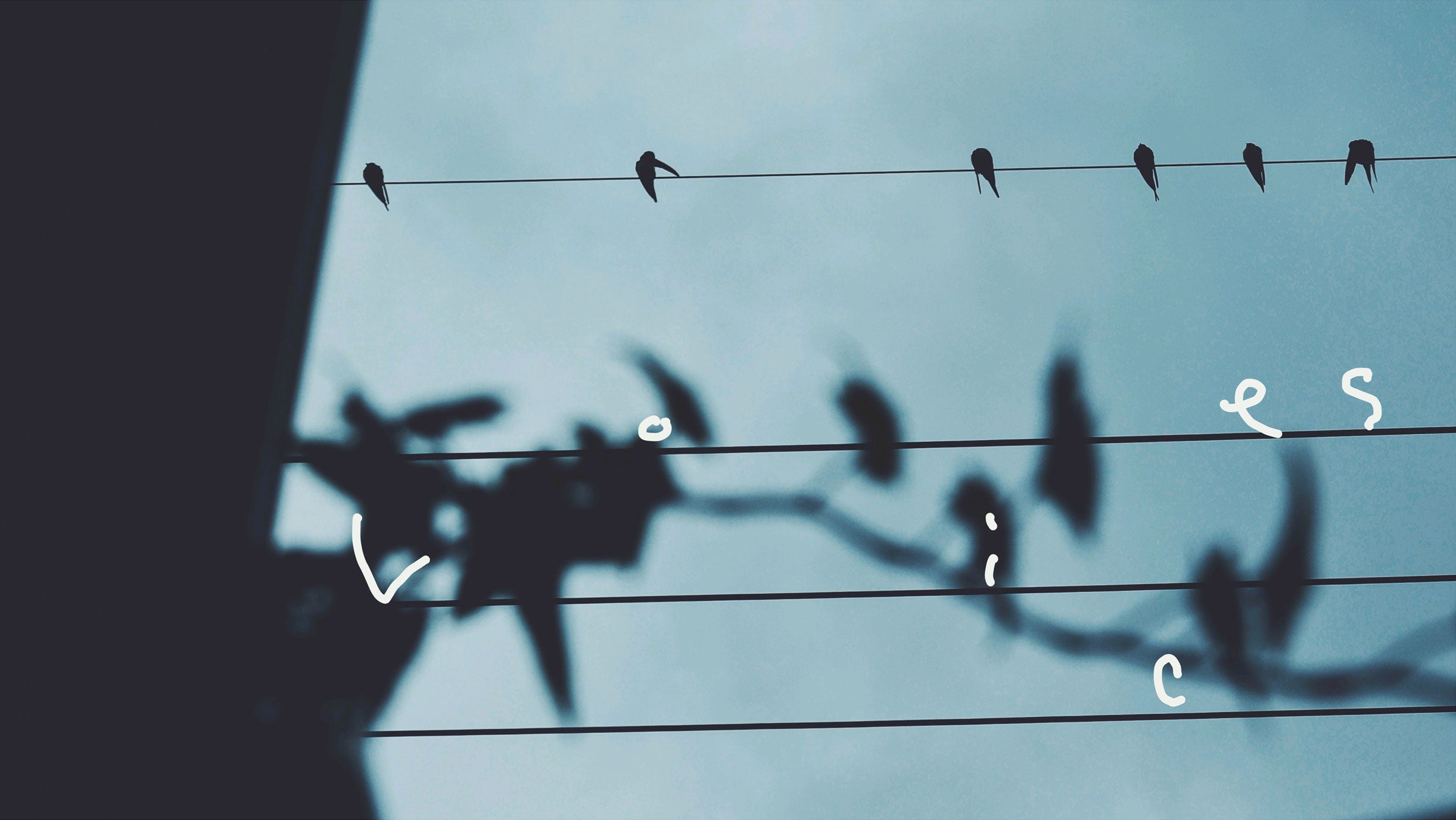 VOICE お客様の声