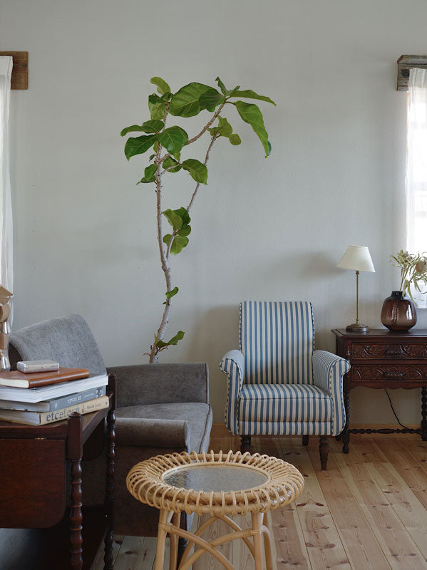 ラタン ガラストップ サイドテーブル Rattan GlassTop LowTable KIBIROI