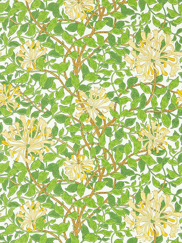 MORRIS&Co. Honeysuckle 217095