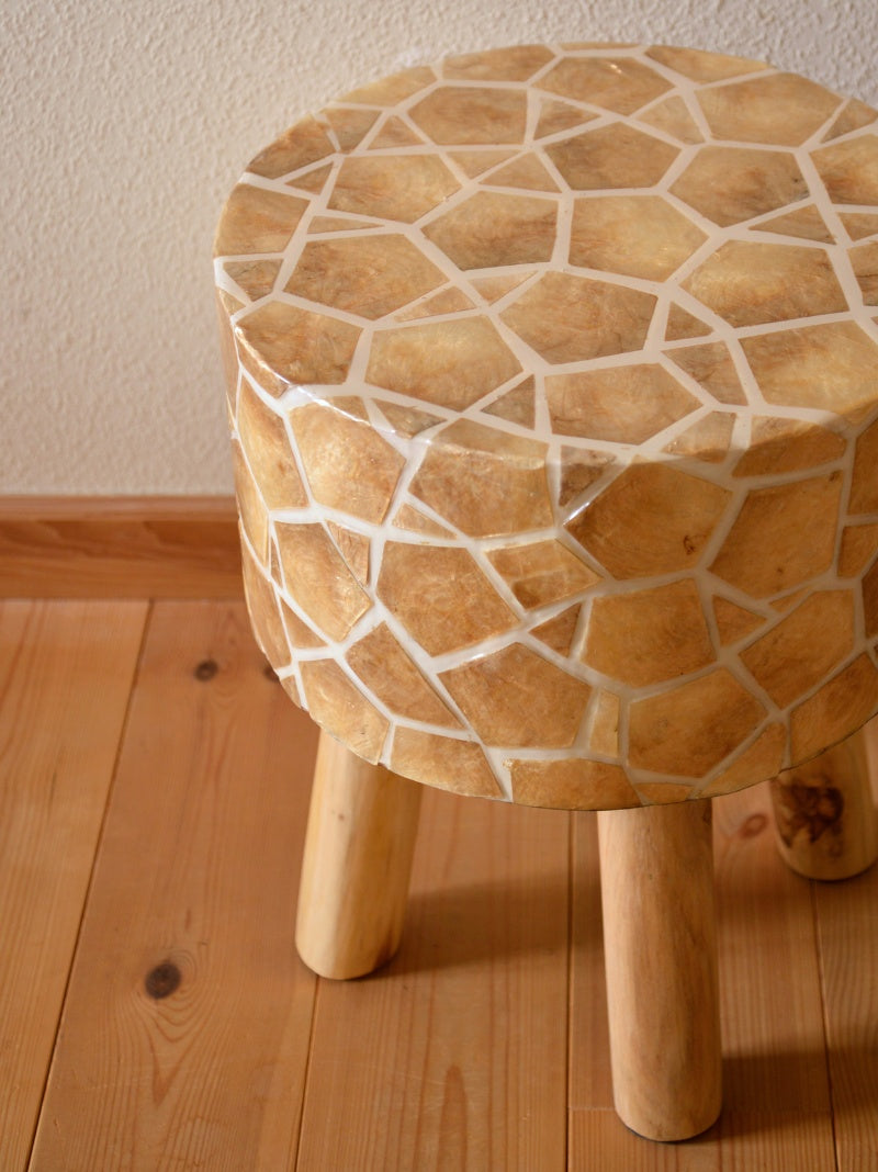 WindowGlass Shell Stool ウィンドウグラス シェル スツール